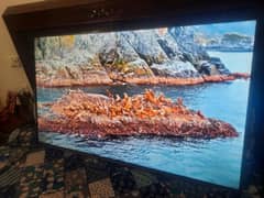 LCD 65 inch TCL