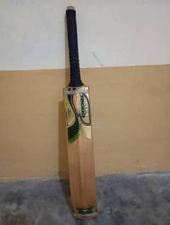 CA 12000plus Bat