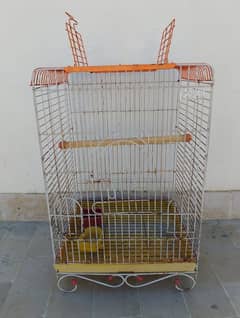 big cage for sale