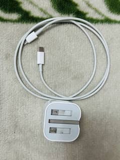 Apple Original Charger