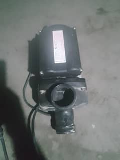 Wala: Whirlpool pump for SPA and swimming Poll 750 W model  WPP750E