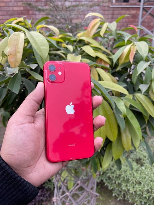 IPhone 11 64 Gb 0