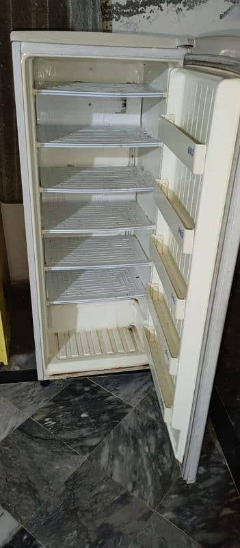 vertical freezer 1