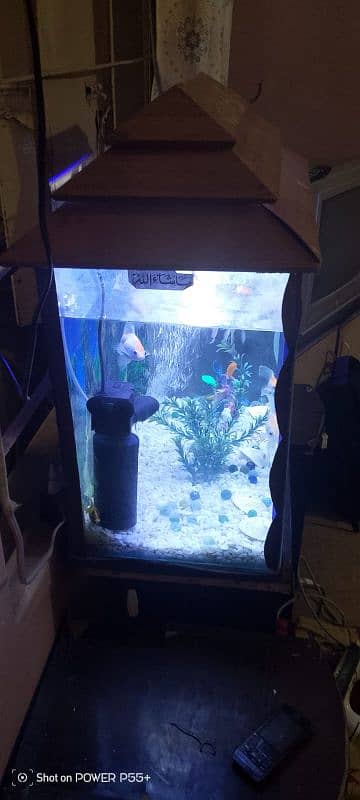 Aquarium and Fish 2