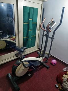 exercise cycle