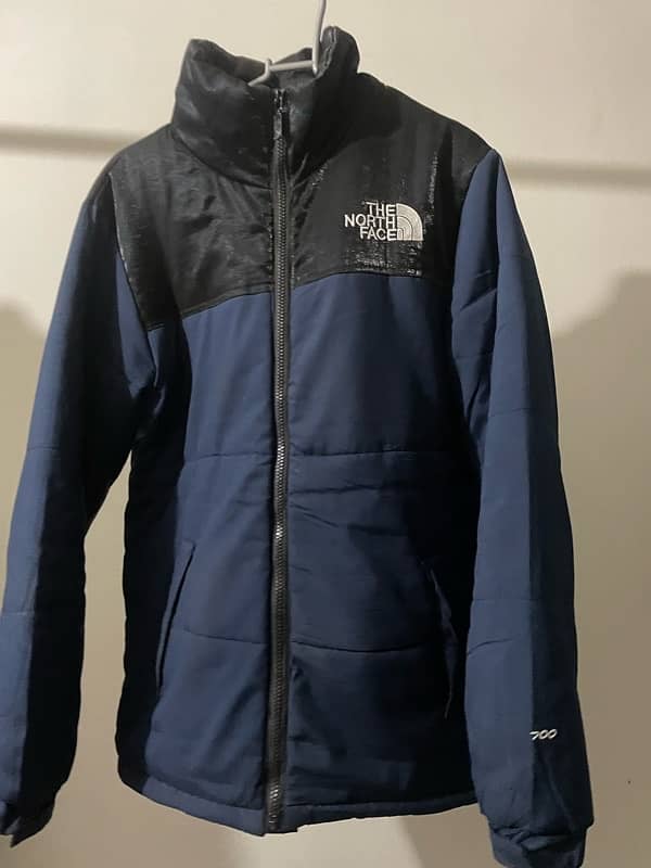 Thenorthface 3