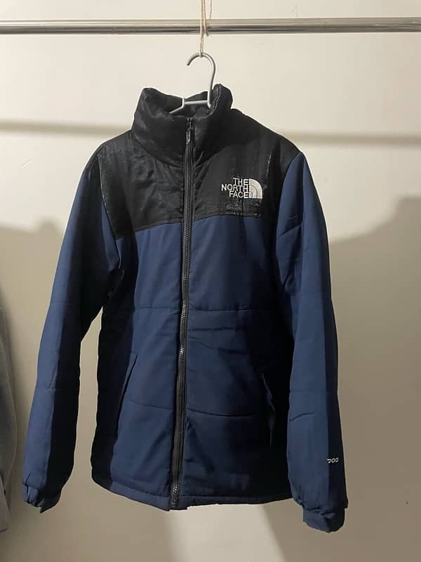 Thenorthface 4