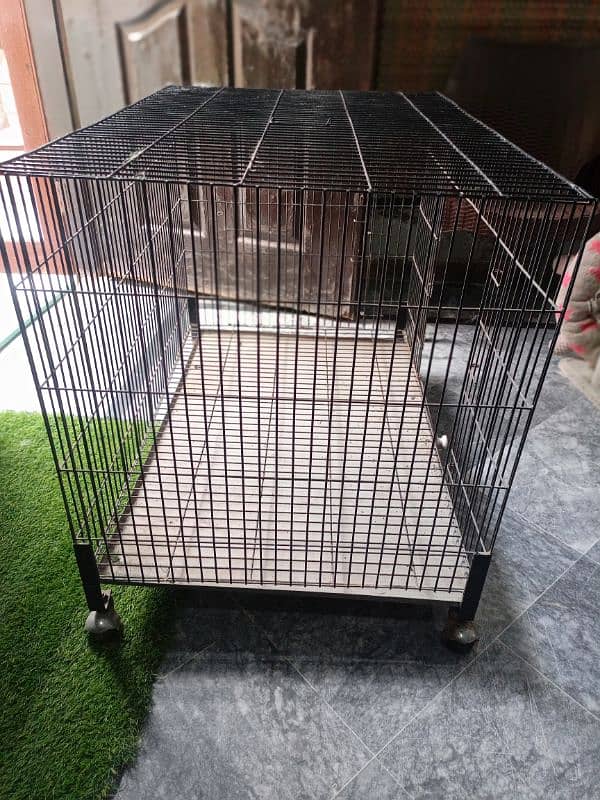 cat cage 1