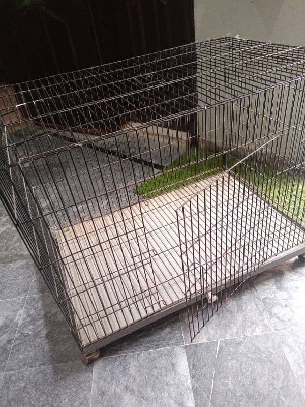 cat cage 2