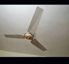 fan available zabardast condition