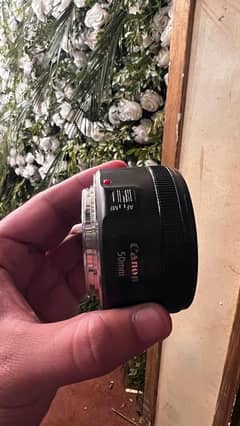 Canon 50mmf1.8 STM lens canon mount