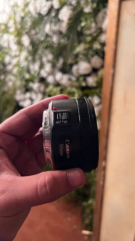 Canon 50mmf1.8 STM lens canon mount 1