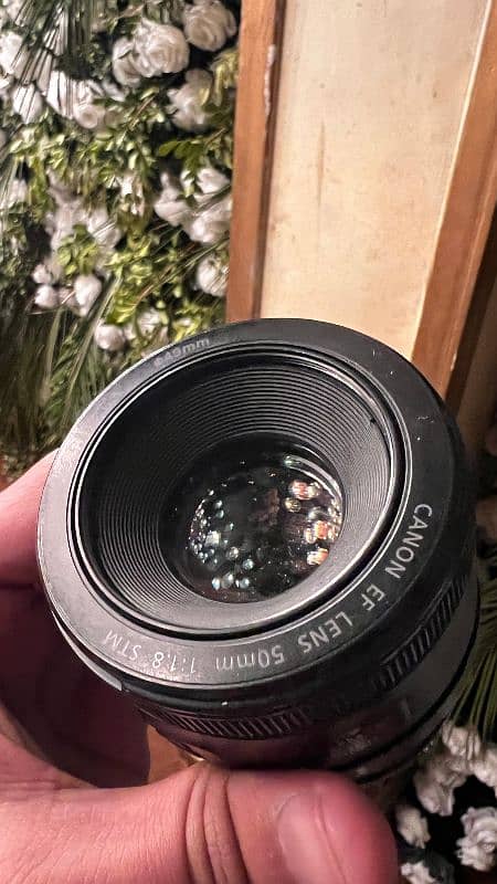 Canon 50mmf1.8 STM lens canon mount 5