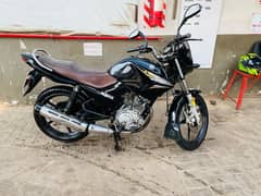 yamaha ybr 125 2022 model original condition bike