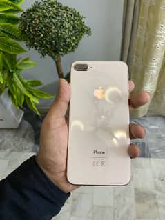 iPhone 8 plus (256 gb)