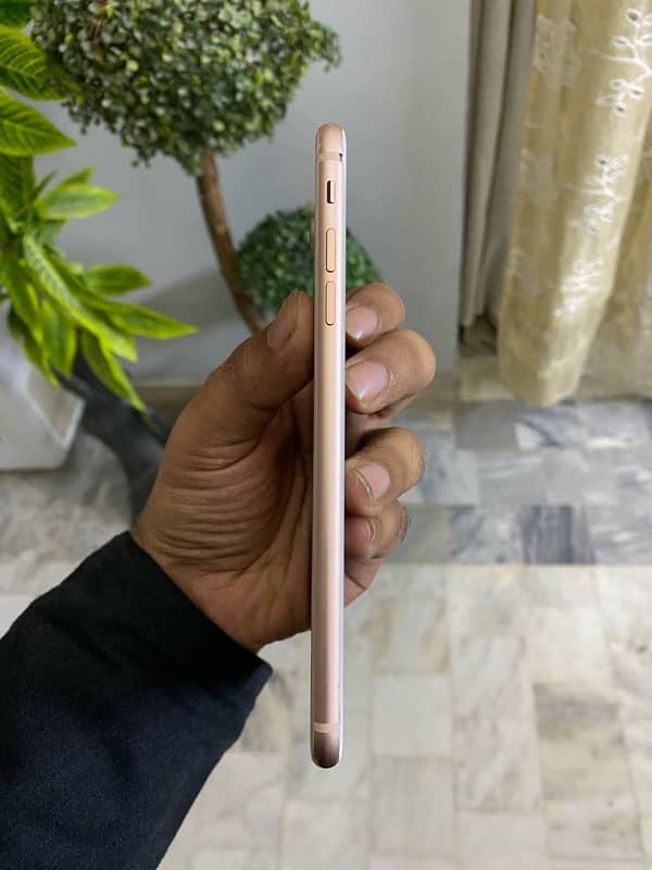 iPhone 8 plus (256 gb) 5