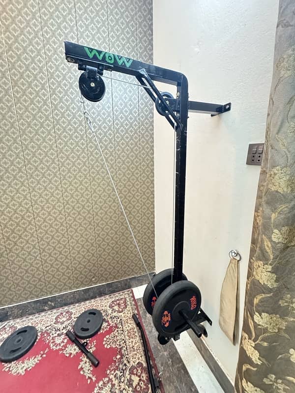 Wall Mounted Upper and Lower Cable Pull up Machine 0