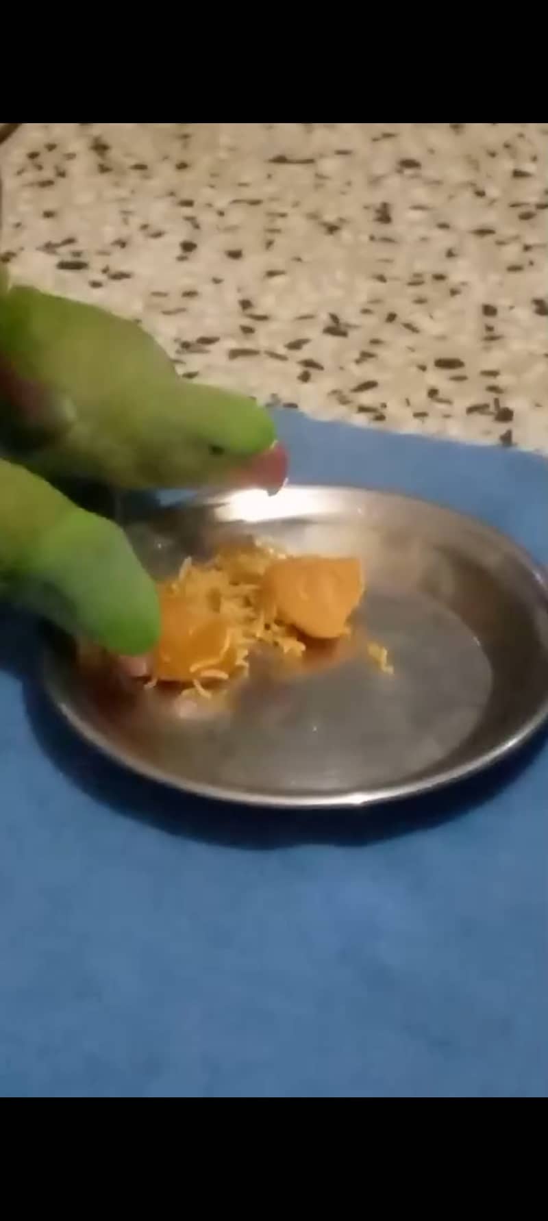 Kashmiri raw parrot 2