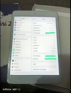 iPad mini 2