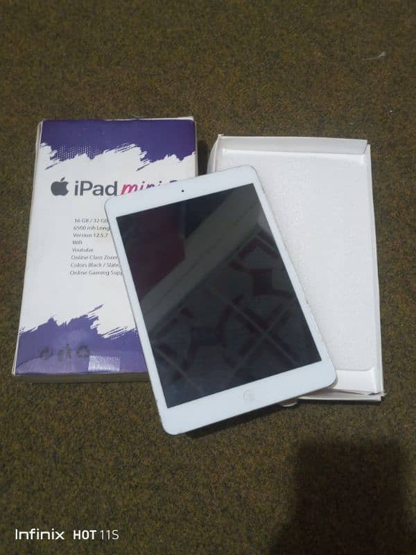 iPad mini 2 1