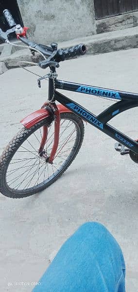 BMX cycle lush condition 5