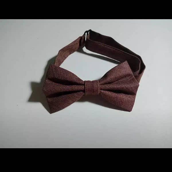 Bow Tie 3