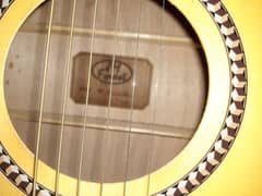 Jm Forest semi acoustic guitar