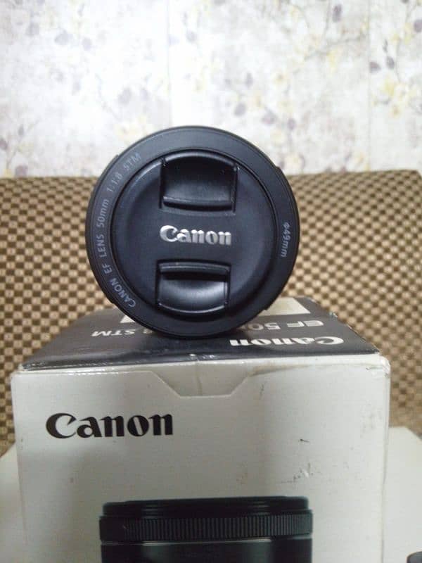 Canon 6D mark 2 with lens 4