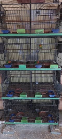 8 Portion Master Cage