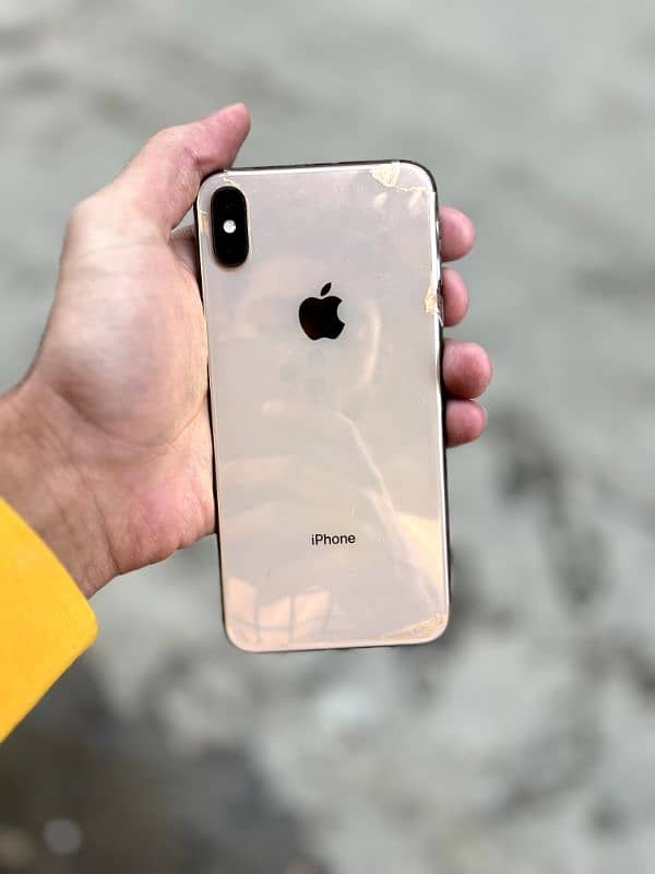 Xs Max 256 1