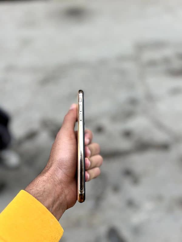 Xs Max 256 4