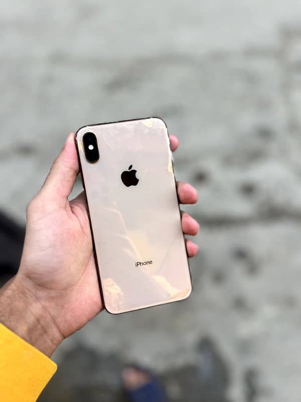 Xs Max 256 6