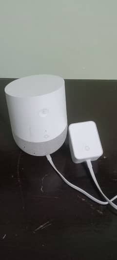 Google nest speaker