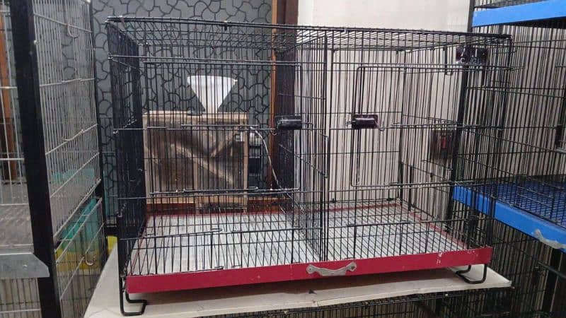 Love birds 7 pair cocktail  pair 4 cage for sale 0343/96/90/119 0