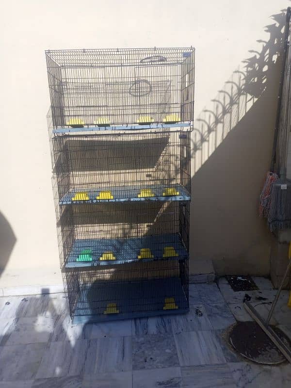 Love birds 7 pair cocktail  pair 4 cage for sale 0343/96/90/119 2