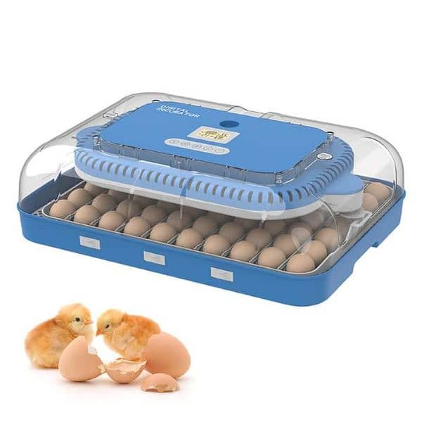 Wonegg 70 eggs High Quality Incubator 5