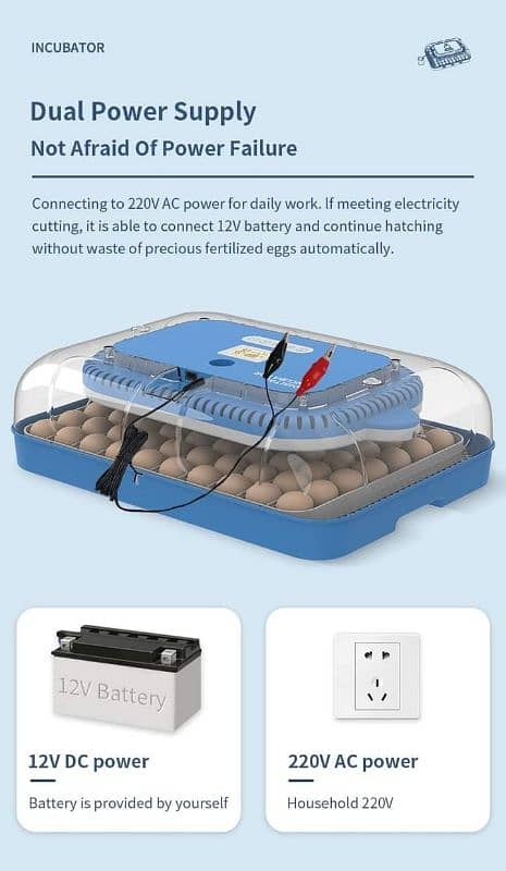 Wonegg 70 eggs High Quality Incubator 10