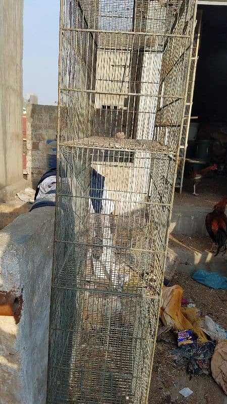 5 portions cage 2