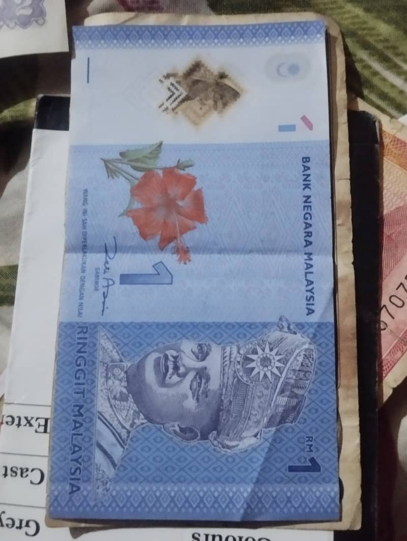 Different countries note and coins 5