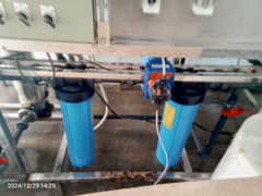 Water plant for sale