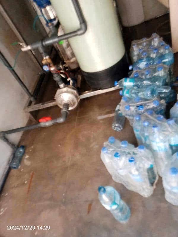 Water plant for sale 1