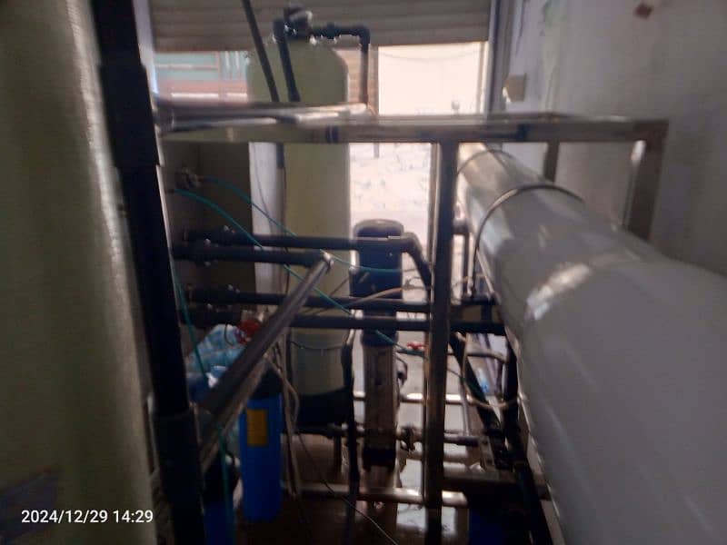 Water plant for sale 2