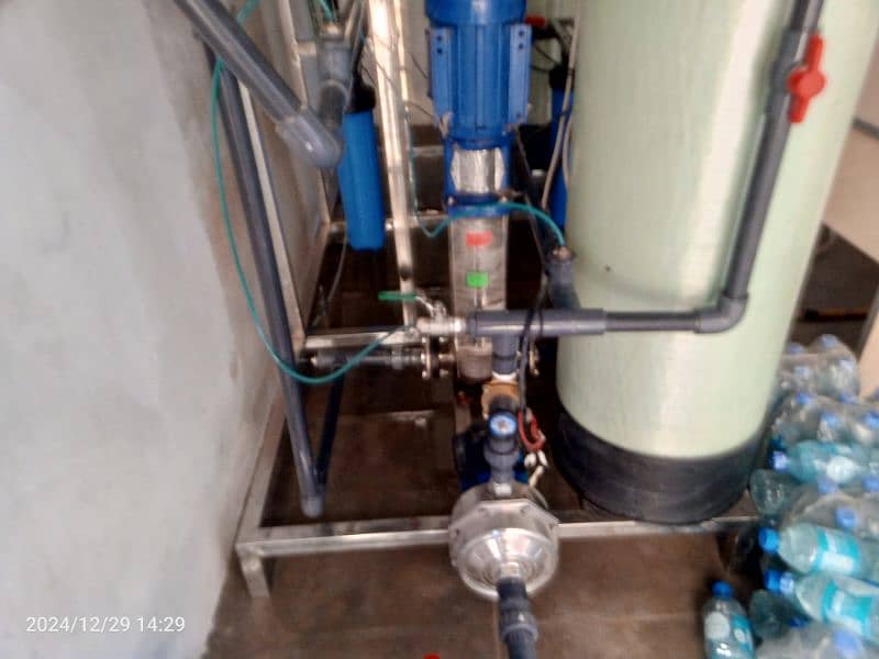 Water plant for sale 3