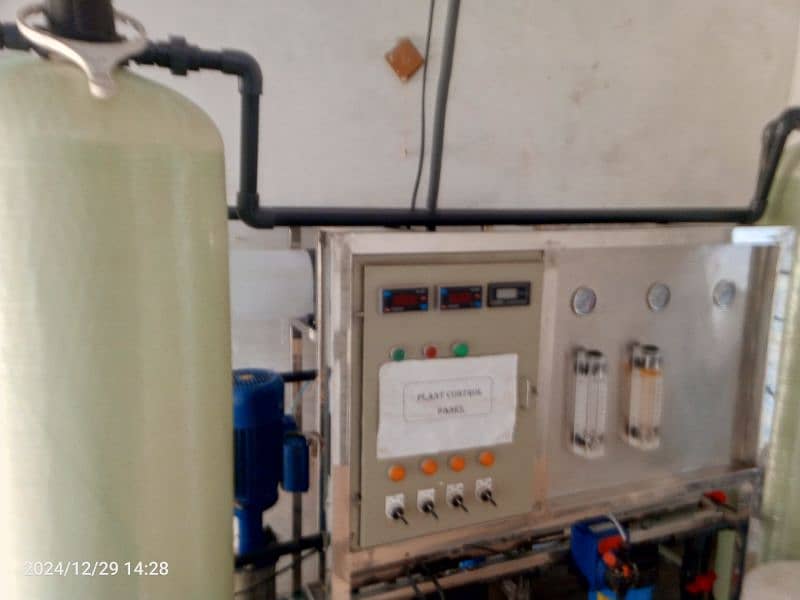 Water plant for sale 8