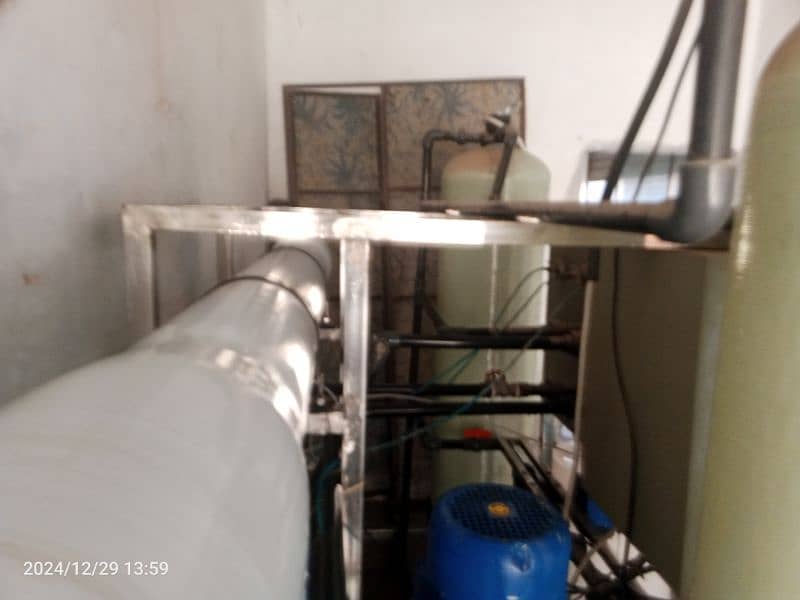 Water plant for sale 10