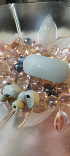 Sony WF-1000XM4 Industry Leading Noise Canceling Earbuds.