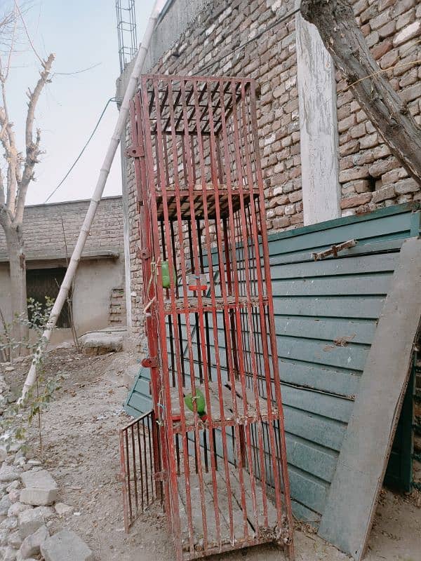 Cage for Sale 1