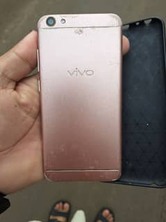 vivo