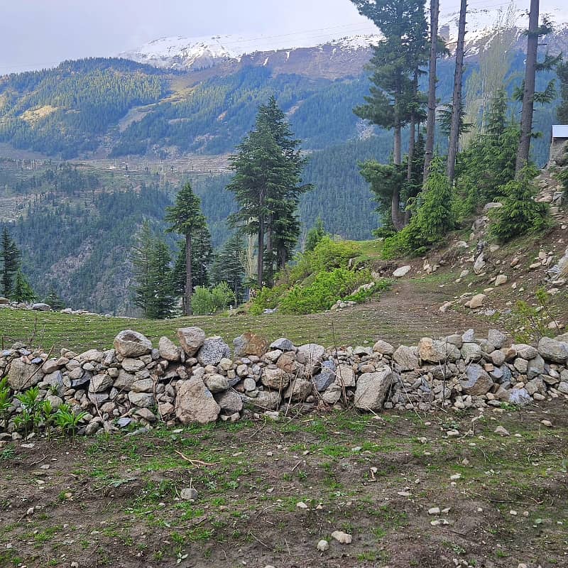 6 Marla designer house in Kalam valley kpk for sale 6