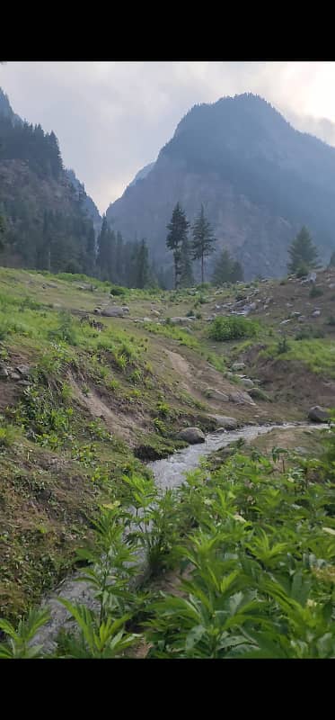 6 Marla designer house in Kalam valley kpk for sale 12